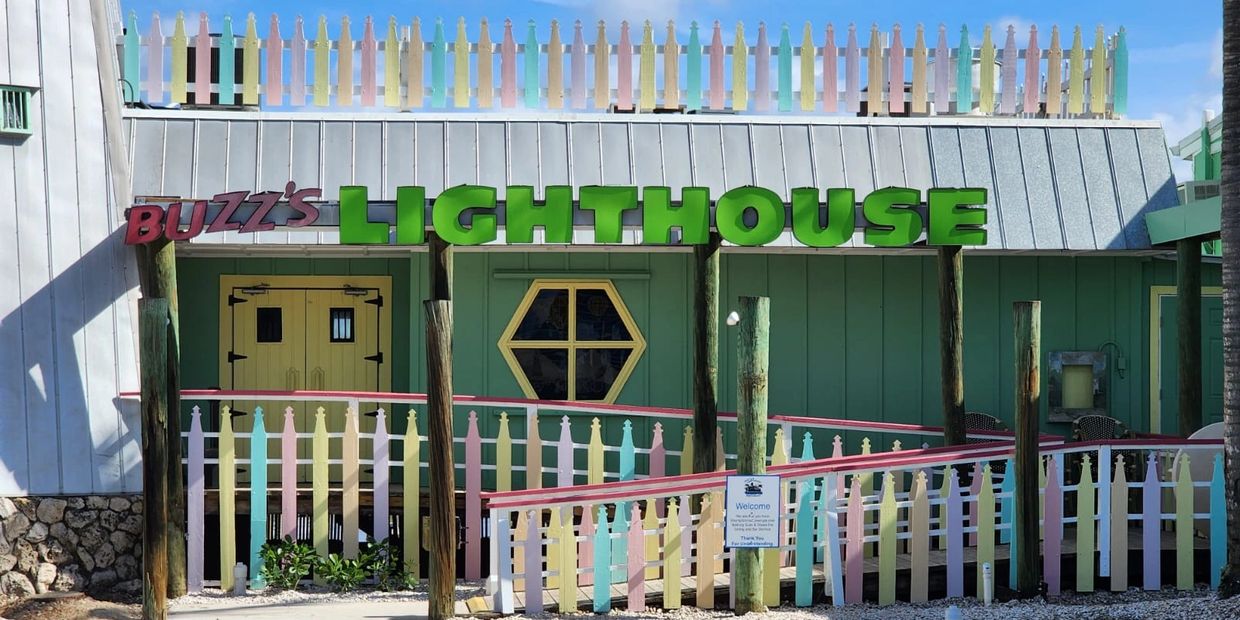 About Buzz's LightHouse